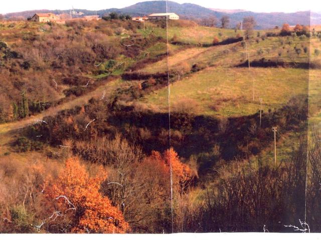 Terreno in vendita a Radicondoli, Toscana