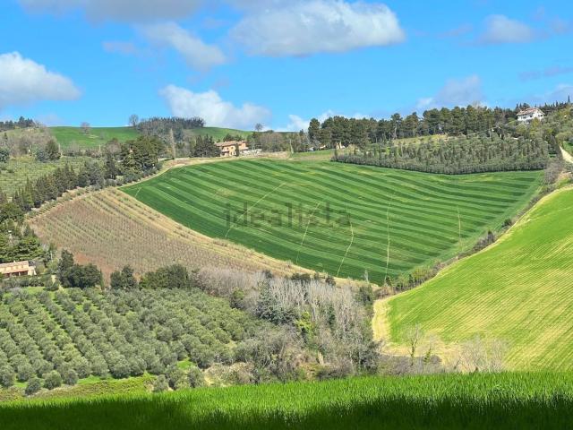 Terreno in vendita a Colli al Metauro, Marche