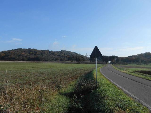 Terreno in vendita a Capalbio, Toscana