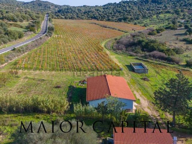 Terreno in vendita a Oliena, Sardigna/Sardegna