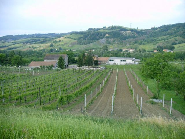 Terreno in vendita a Unione dei comuni Valli del Reno, Lavino e Samoggia, Reggio Emilia
