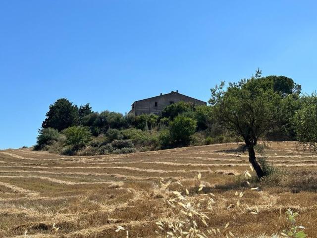 Terreno in vendita a Caltanissetta, Sicilia