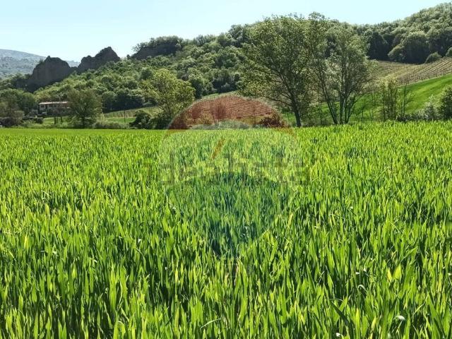 Terreno in vendita a Castelfranco Piandiscò, Toscana
