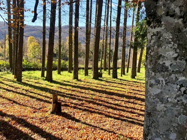 Terreno in vendita a Serrastretta, Catanzaro