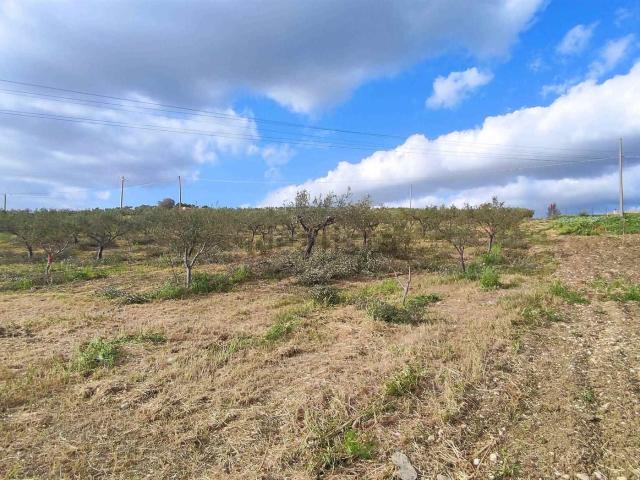 Terreno in vendita a Sciacca, Sicilia