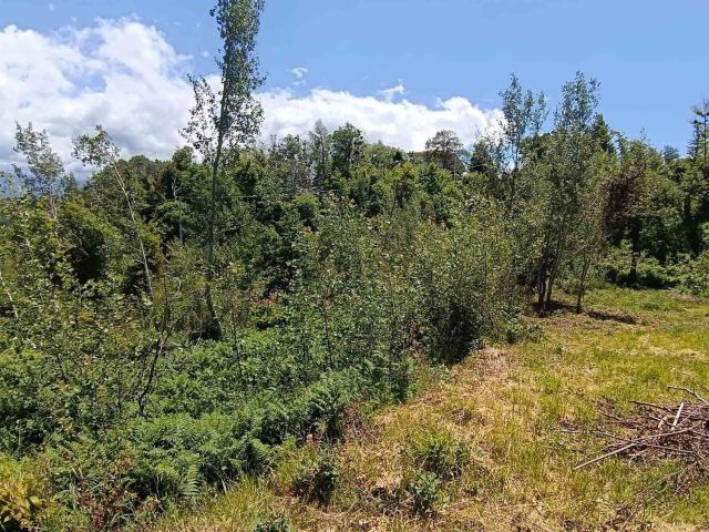 Terreno in vendita a Calabria, Cosenza