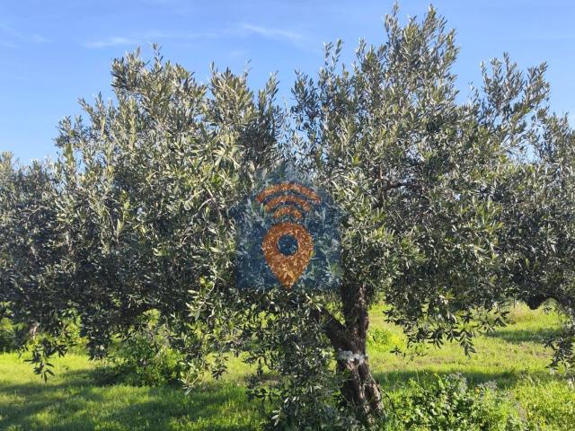 Terreno in vendita a Campobello Di Mazara, Sicilia