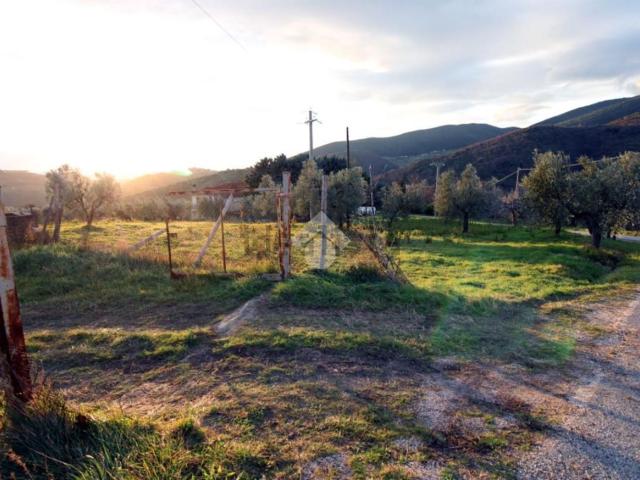 Terreno in vendita a Mompeo, Lazio