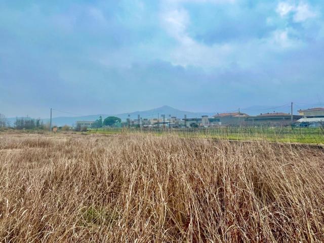 Terreno in vendita a Montecchia Di Crosara, Veneto