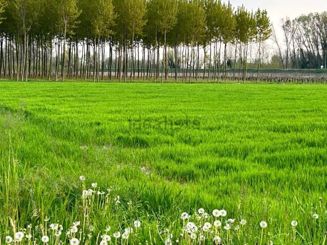 Terreno in vendita a San Odorico, Sacile