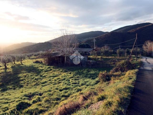 Terreno in vendita a Mompeo, Lazio