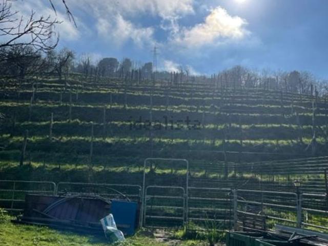 Terreno in vendita a Bonascola, Carrara