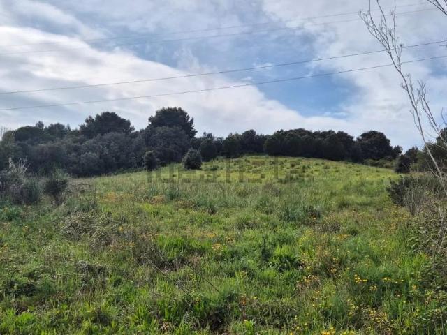 Terreno in vendita a Piombino, Toscana