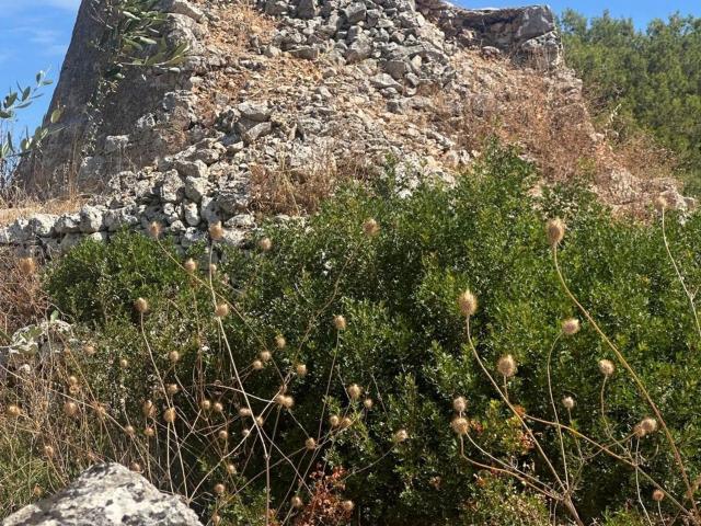 Terreno in vendita a Ostuni, Brindisi