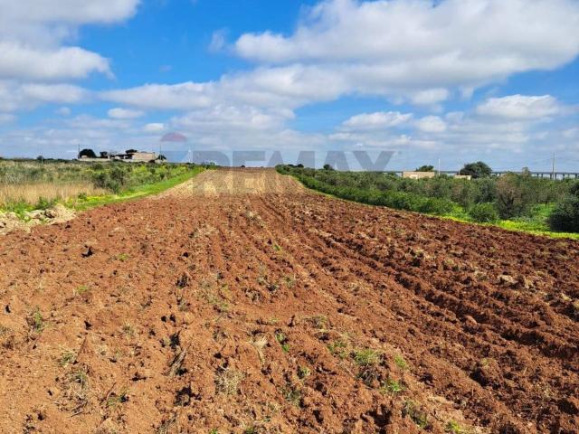 Terreno in vendita a Contrada Ramisella, Mazara del Vallo
