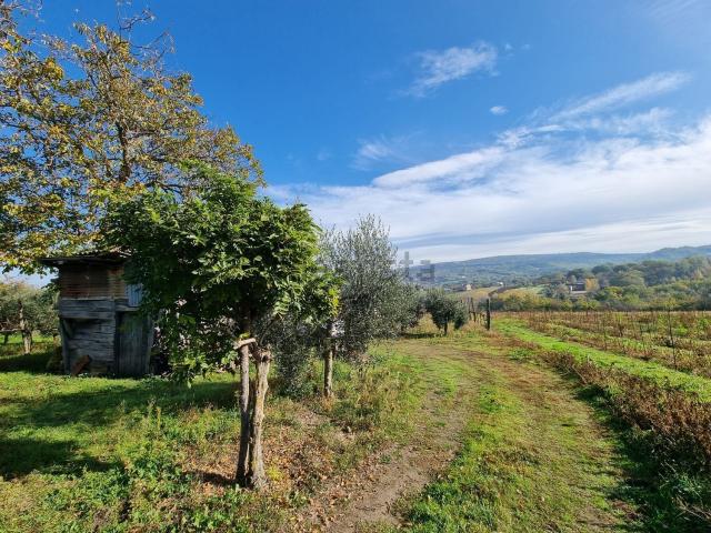 Terreno in vendita a Taurasi, Campania