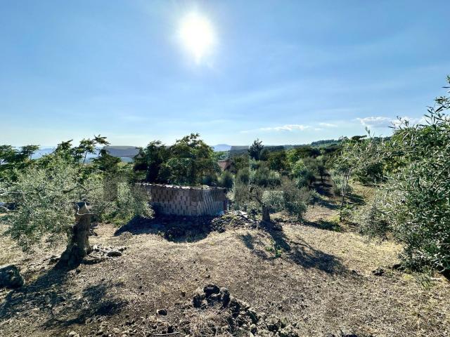 Terreno in vendita a Biancavilla, Sicilia