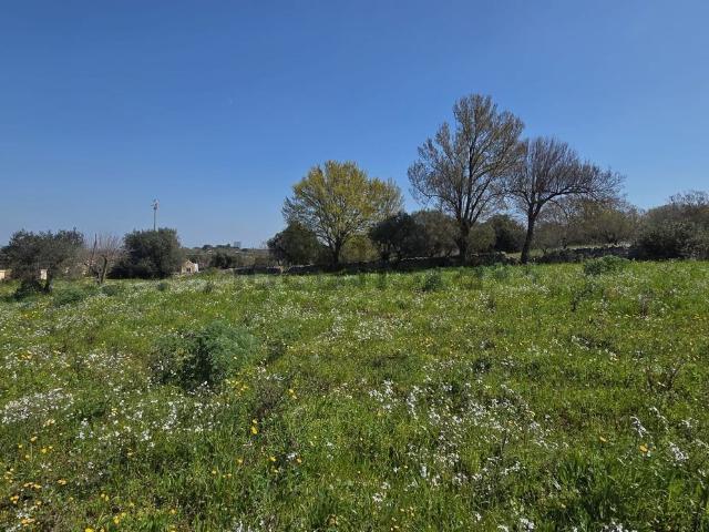 Terreno in vendita a Borgo Rurale Pascarosa, Puglia