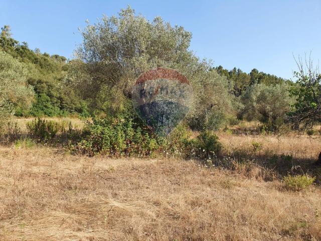 Terreno in vendita a Caltagirone, Sicilia