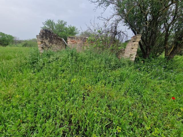 Terreno in vendita a Puglia, Foggia
