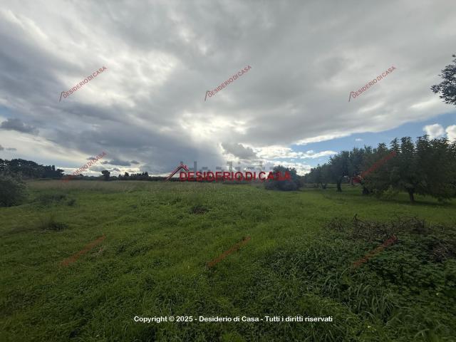 Terreno in vendita a Misiliscemi, Guarrato
