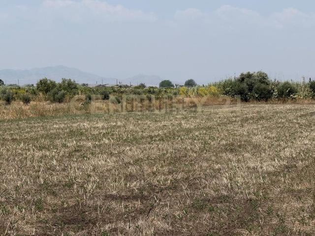 Terreno in vendita a Lentini, Siracusa