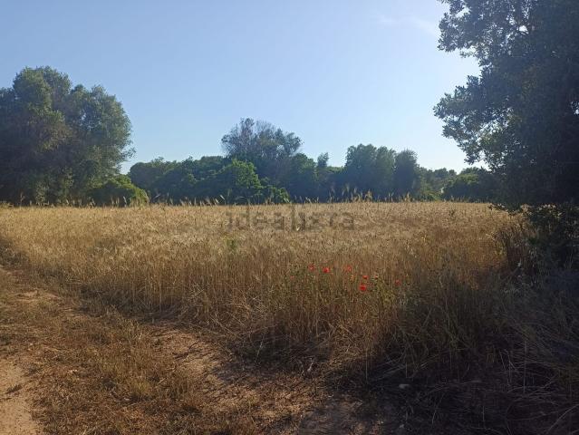 Terreno in vendita a Puglia, Taranto