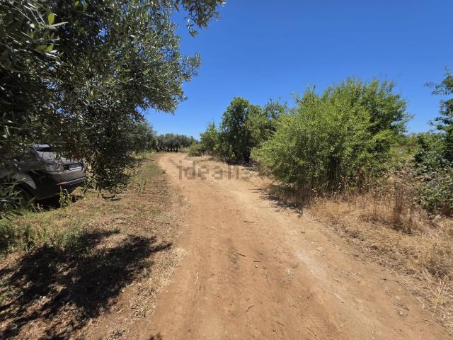 Terreno in vendita a Castelvetrano, Sicilia