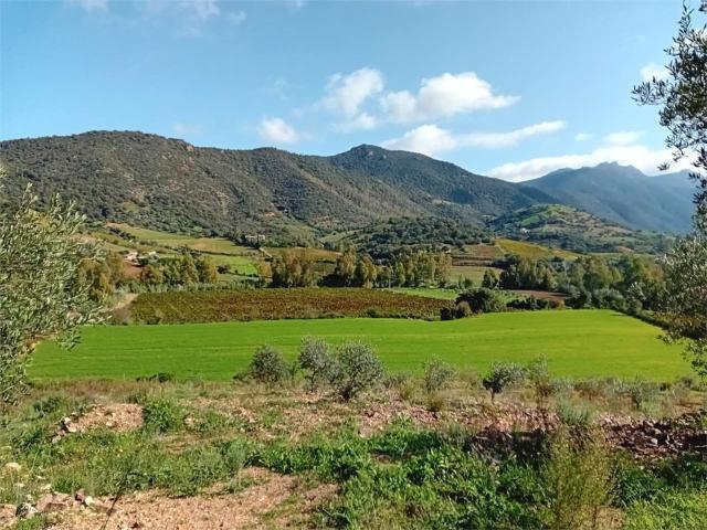 Terreno in vendita a Jerzu, Sardigna/Sardegna
