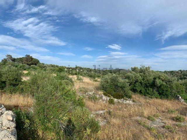 Terreno in vendita a Noto, Sicilia