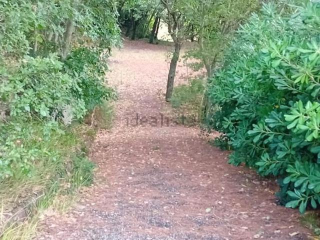 Terreno in vendita a Rosignano Marittimo, Toscana