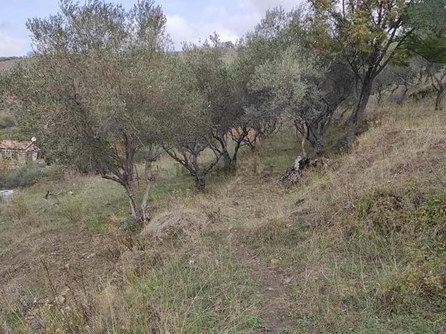 Terreno in vendita a Piedimonte Etneo, Sicilia