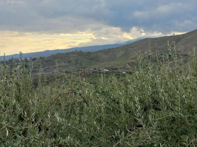 Terreno in vendita a Piedimonte Etneo, Sicilia