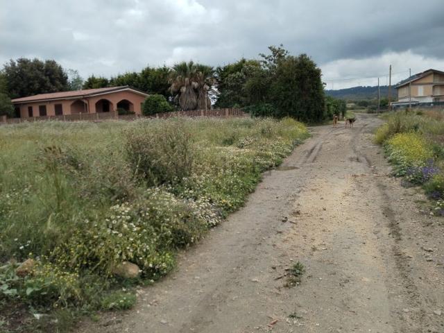 Terreno in vendita a Grammichele, Catania