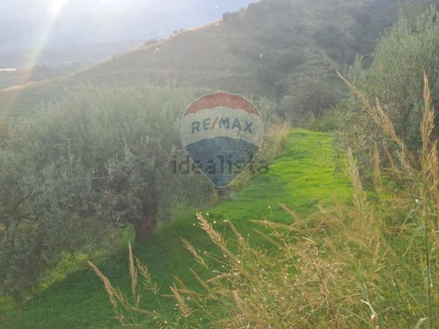 Terreno in vendita a Calatabiano, Sicilia