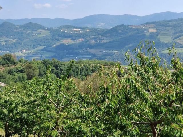 Terreno in vendita a Scaglia, San Giovanni Ilarione