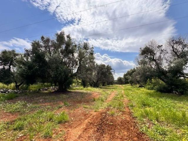 Terreno in vendita a Puglia, Brindisi