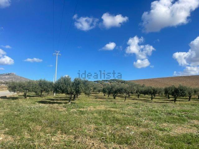 Terreno in vendita a Erice, Sicilia