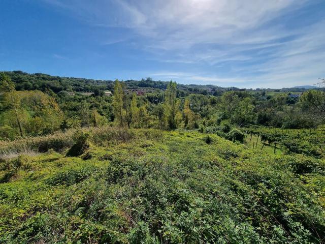 Terreno in vendita a Montaperto, Prata Principato Ultra