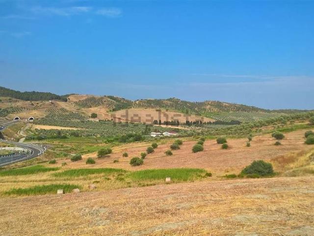 Terreno in vendita a Calabria, Catanzaro