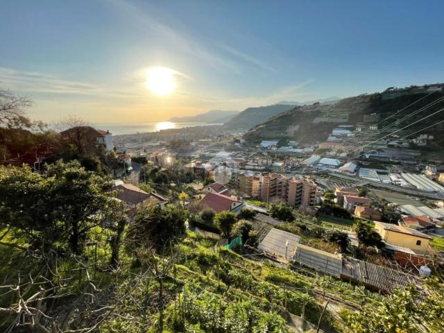 Terreno in vendita a Vallecrosia, Provincia di Imperia