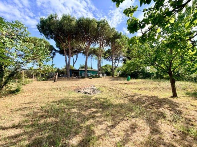 Terreno in vendita a Piombino, Toscana