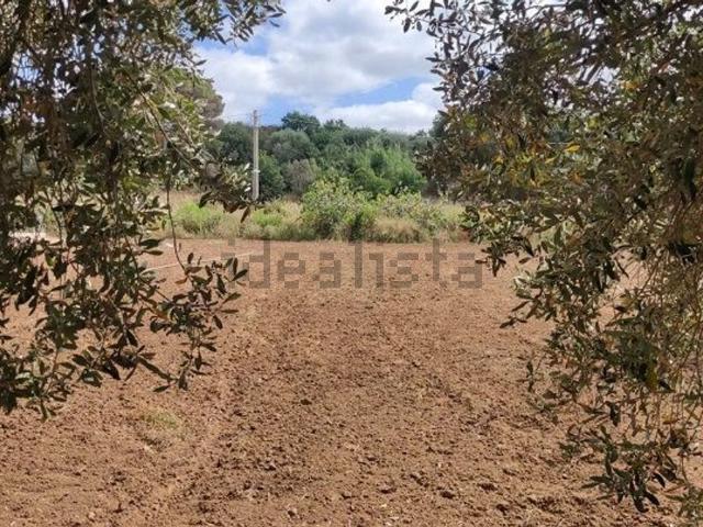 Terreno in vendita a Calabria, Vibo Valentia