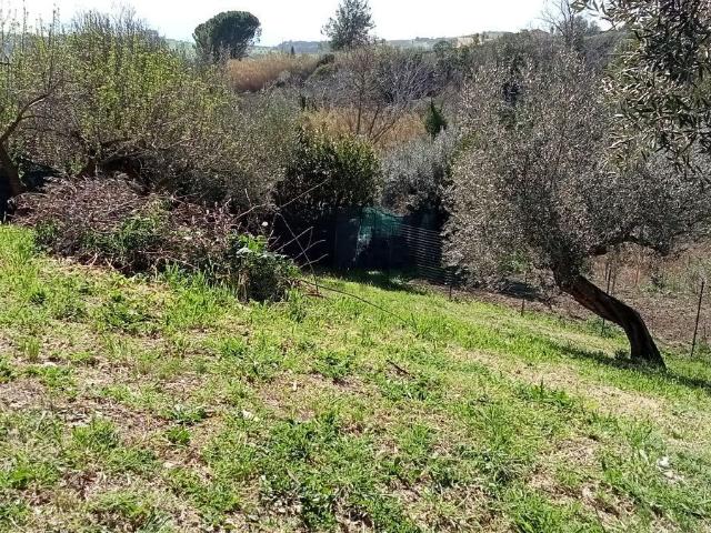 Terreno in vendita a San Silvestre, Silvi