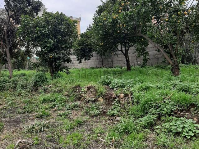 Terreno in vendita a Giarre, Sicilia