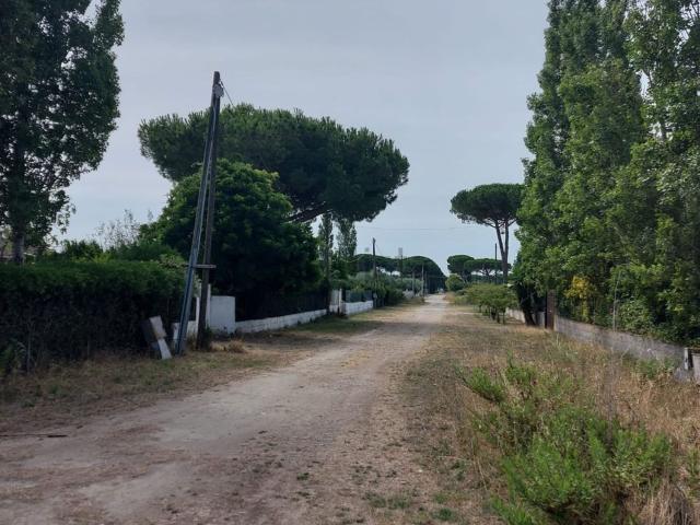 Terreno in vendita a Tarquinia, Lazio