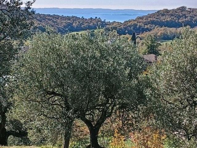 Terreno in vendita a Castion Veronese, Costermano