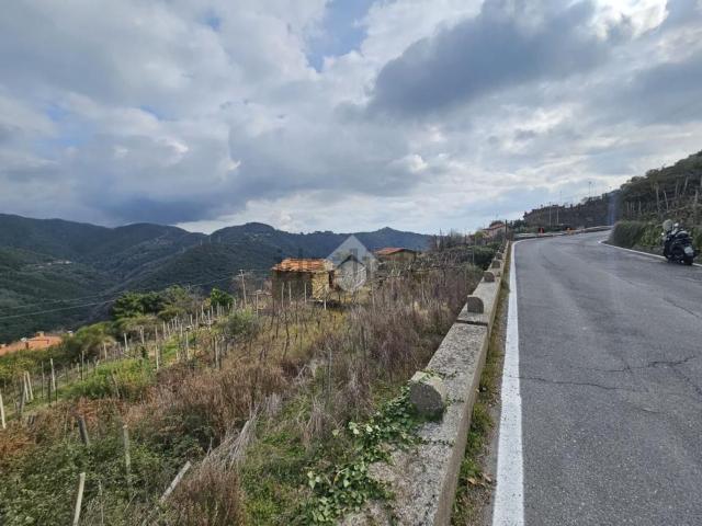 Terreno in vendita a Baiardo, Liguria