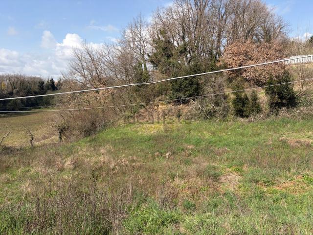 Terreno in vendita a San Lorenzo Nuovo, Lazio