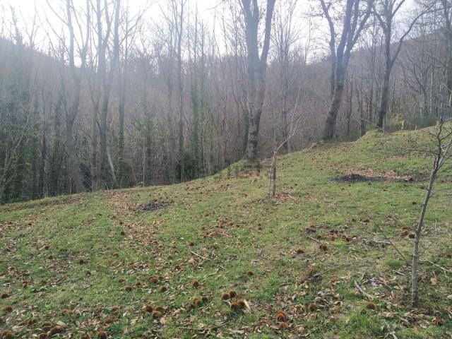 Terreno in vendita a Monteforte Irpino, Campania